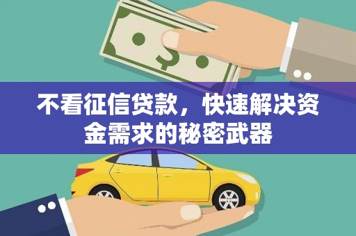 枞阳不看征信贷款，快速解决资金需求的秘密武器