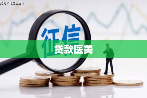 枞阳贷款医美