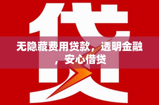 枞阳无隐藏费用贷款，透明金融，安心借贷