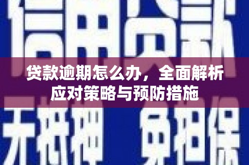 枞阳贷款逾期怎么办，全面解析应对策略与预防措施