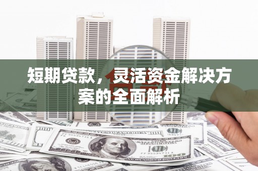 枞阳短期贷款，灵活资金解决方案的全面解析