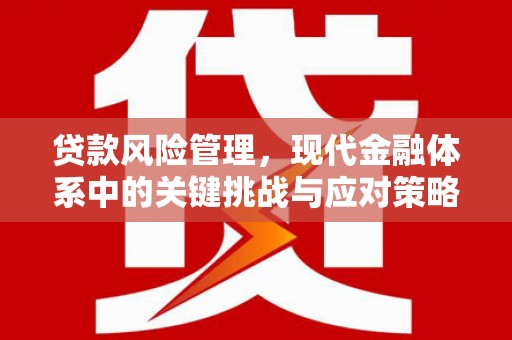 枞阳贷款风险管理，现代金融体系中的关键挑战与应对策略