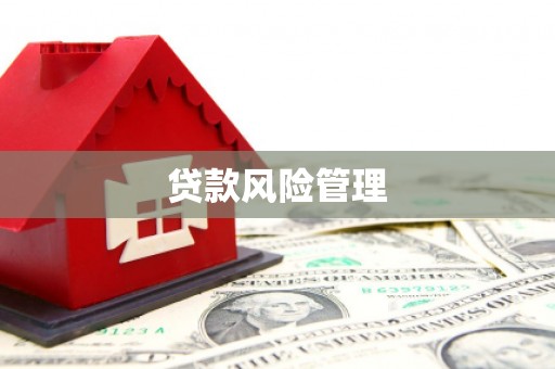 枞阳贷款风险管理