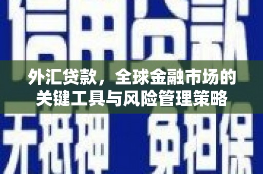 枞阳外汇贷款，全球金融市场的关键工具与风险管理策略
