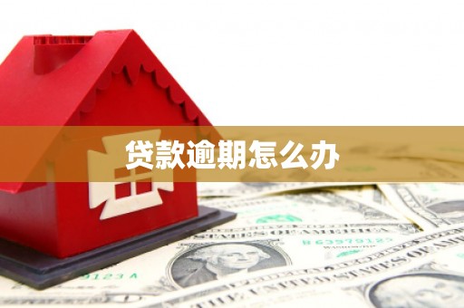 枞阳贷款逾期怎么办