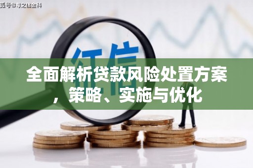 枞阳全面解析贷款风险处置方案，策略、实施与优化