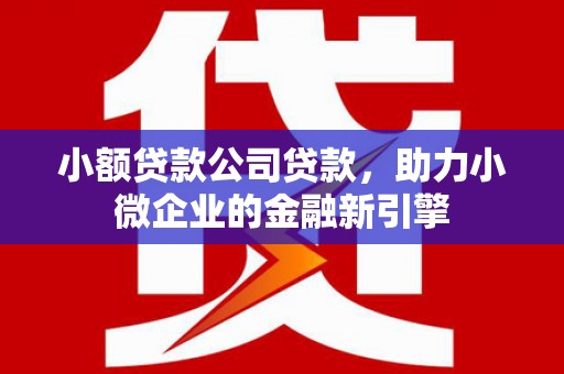 枞阳小额贷款公司贷款，助力小微企业的金融新引擎