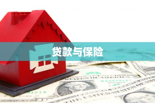 枞阳贷款与保险