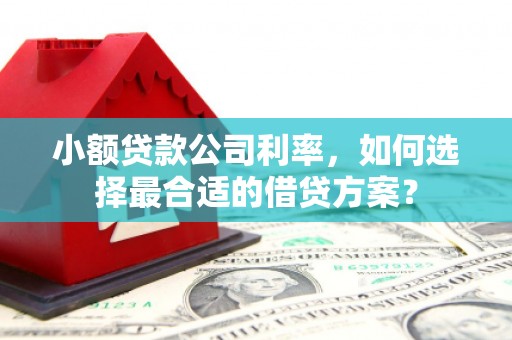 枞阳小额贷款公司利率，如何选择最合适的借贷方案？
