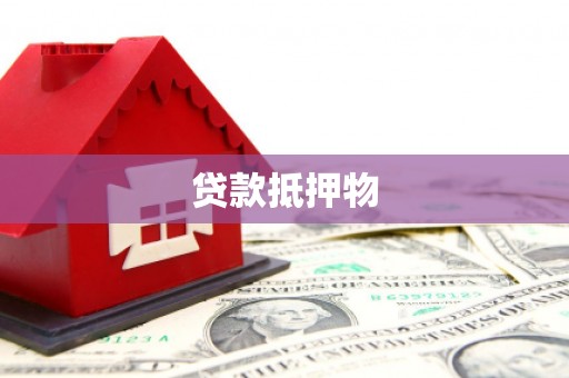 枞阳贷款抵押物
