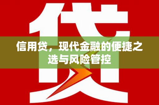 枞阳信用贷，现代金融的便捷之选与风险管控