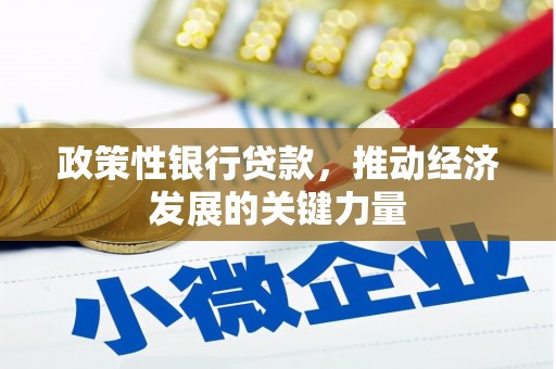 枞阳政策性银行贷款，推动经济发展的关键力量
