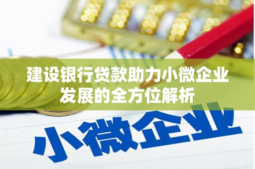 枞阳建设银行贷款助力小微企业发展的全方位解析