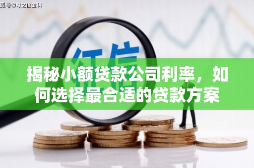 枞阳揭秘小额贷款公司利率，如何选择最合适的贷款方案
