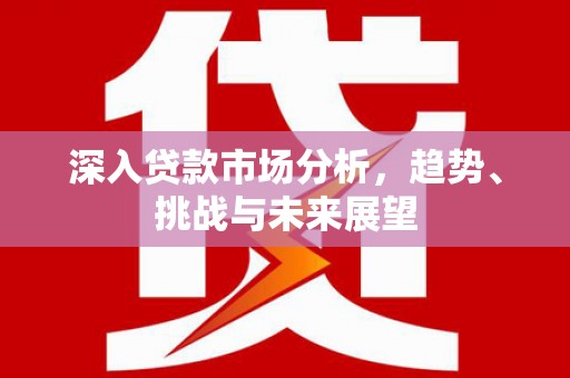 枞阳深入贷款市场分析，趋势、挑战与未来展望