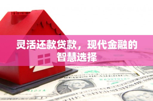 枞阳灵活还款贷款，现代金融的智慧选择