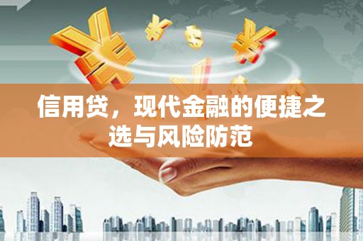 枞阳信用贷，现代金融的便捷之选与风险防范