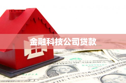 枞阳金融科技公司贷款
