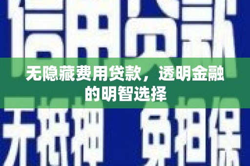 枞阳无隐藏费用贷款，透明金融的明智选择