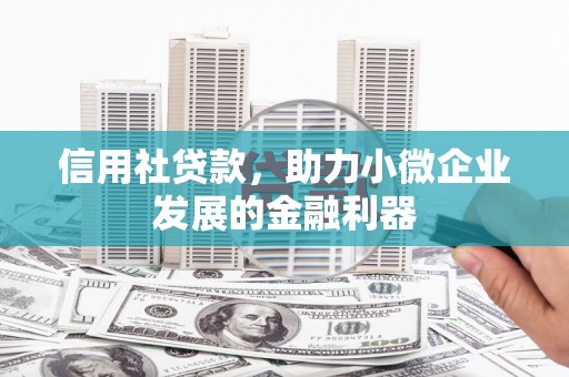 枞阳信用社贷款，助力小微企业发展的金融利器