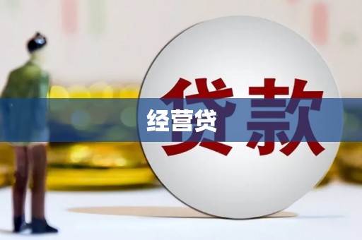 枞阳经营贷