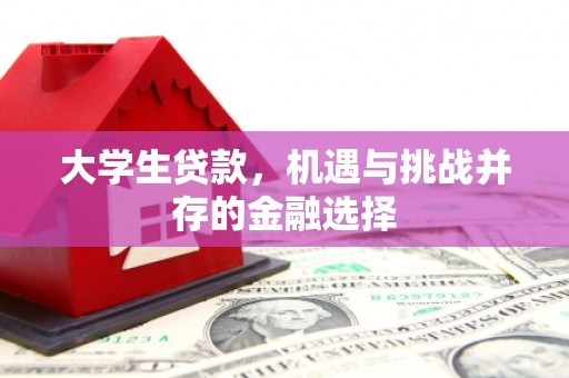 枞阳大学生贷款，机遇与挑战并存的金融选择
