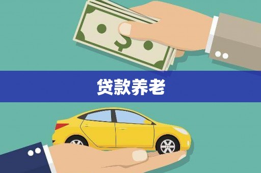 枞阳贷款养老