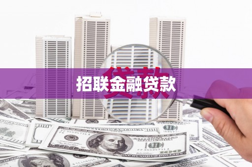 枞阳招联金融贷款