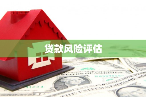 枞阳贷款风险评估