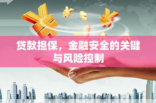 枞阳贷款担保，金融安全的关键与风险控制