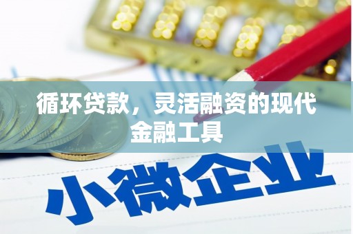 枞阳循环贷款，灵活融资的现代金融工具