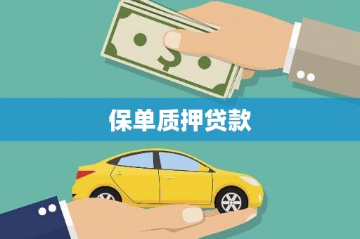 枞阳保单质押贷款