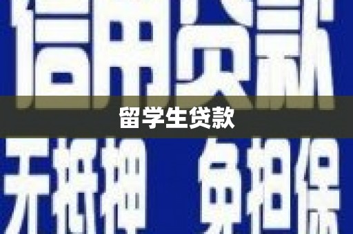 枞阳留学生贷款