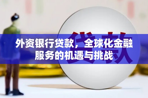 枞阳外资银行贷款，全球化金融服务的机遇与挑战