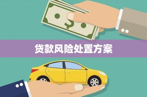 枞阳贷款风险处置方案