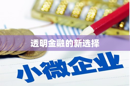 枞阳透明金融的新选择