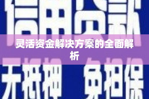 枞阳灵活资金解决方案的全面解析