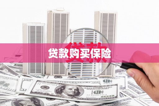 枞阳贷款购买保险